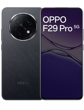 F29 PRO 12/256